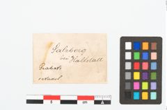 Etikett zu Eisenkonvolut (NHMW-PRAE-094301)